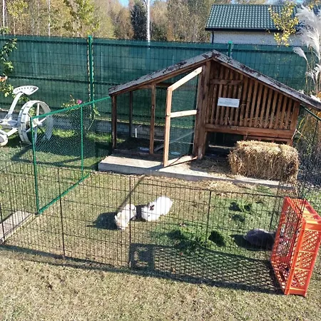 Wypoczynek Domek letniskowy *