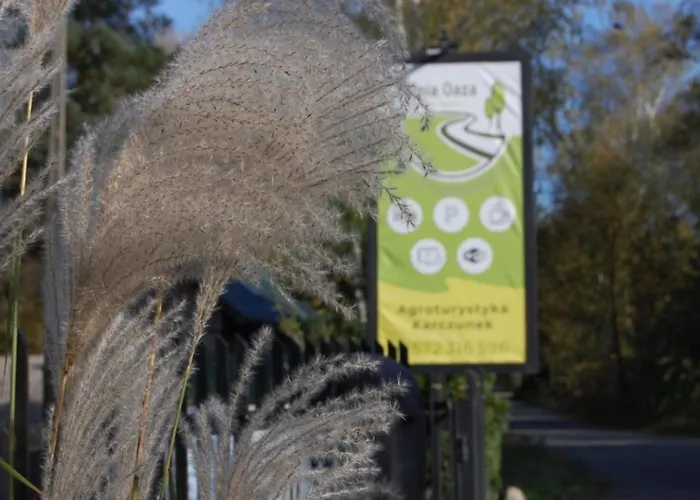 Wypoczynek Domek letniskowy *