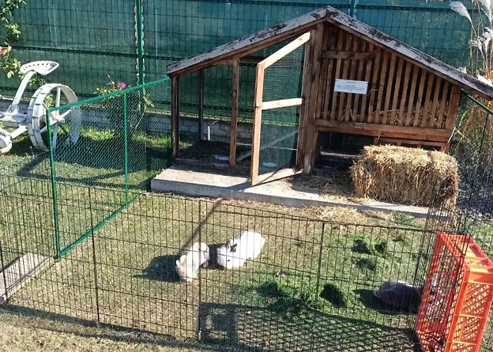 Wypoczynek Domek letniskowy *