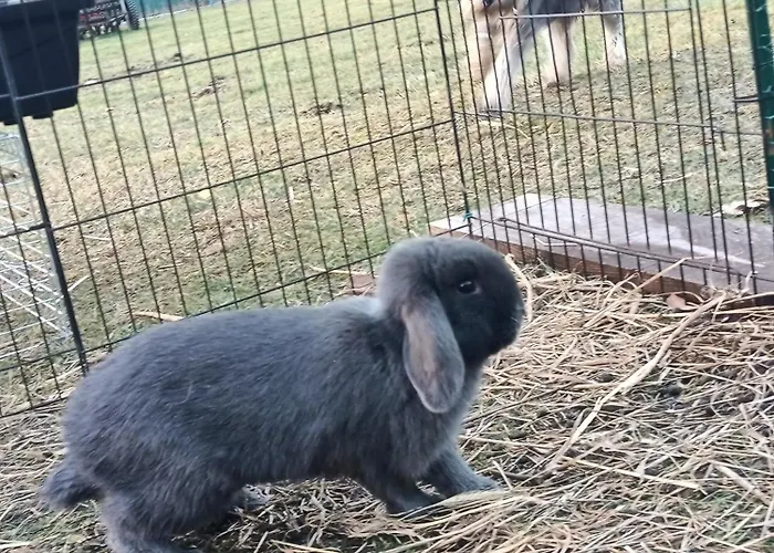 Domek letniskowy Wypoczynek